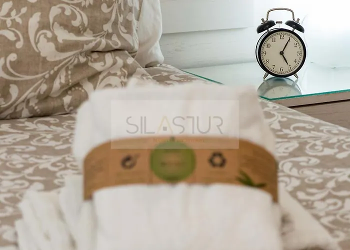 Ojeda By Silastur * 希洪